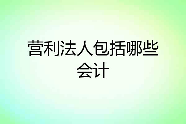 营利法人包括哪些会计