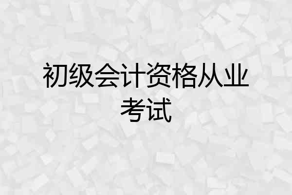 初级会计资格从业考试