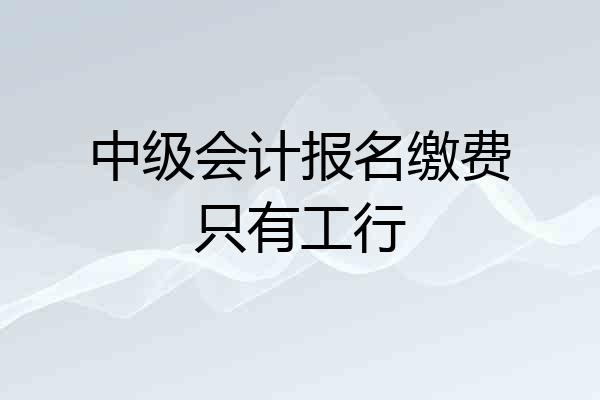 中级会计报名缴费只有工行
