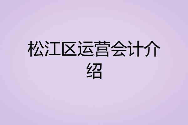 松江区运营会计介绍