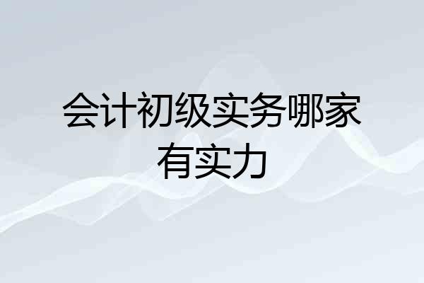 会计初级实务哪家有实力