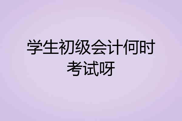 学生初级会计何时考试呀