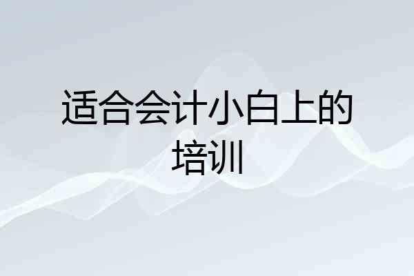 适合会计小白上的培训