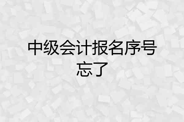 中级会计报名序号忘了