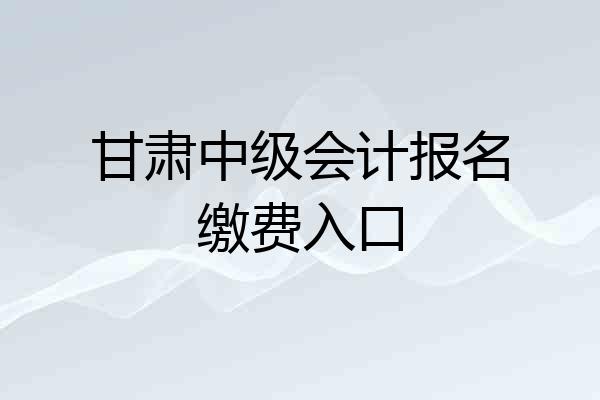 甘肃中级会计报名缴费入口