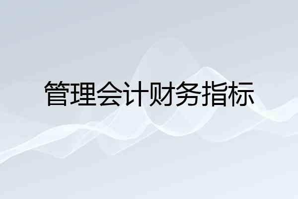 管理会计财务指标