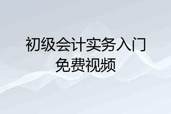 初级会计实务入门免费视频