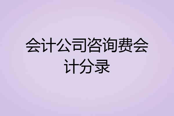 会计公司咨询费会计分录