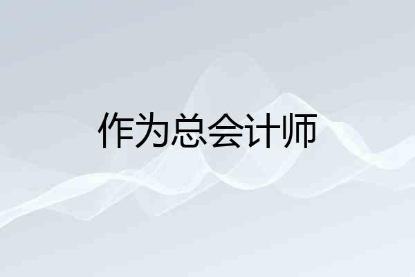 作为总会计师