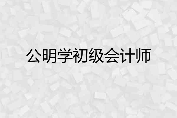 公明学初级会计师