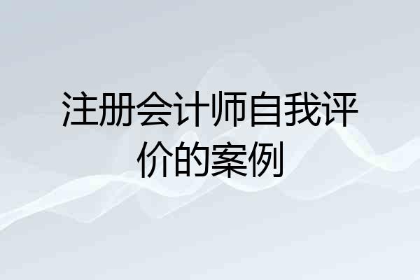 注册会计师自我评价的案例