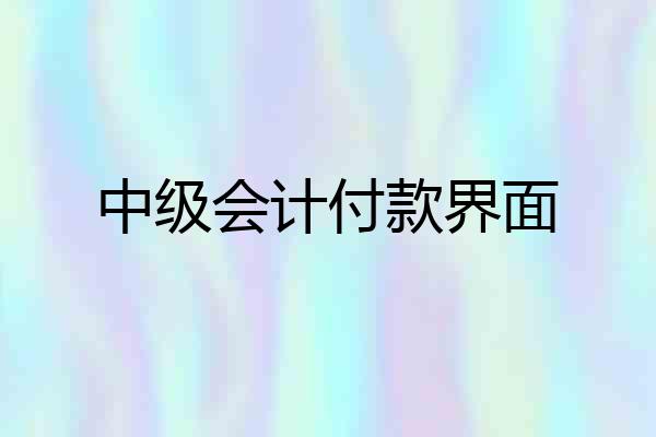 中级会计付款界面