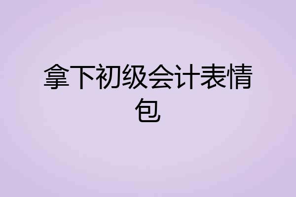 拿下初级会计表情包