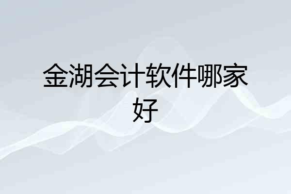 金湖会计软件哪家好