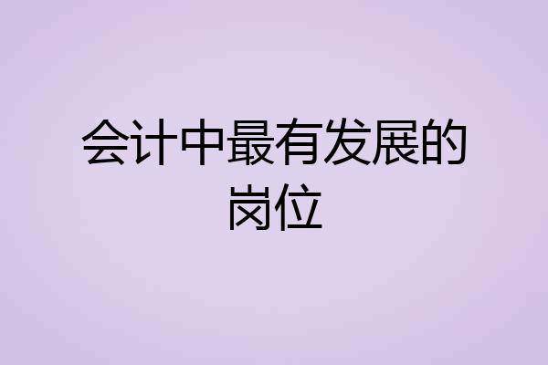 会计中最有发展的岗位