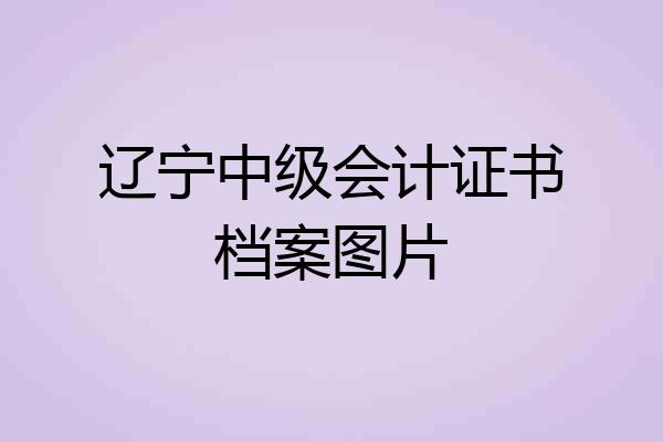 辽宁中级会计证书档案图片