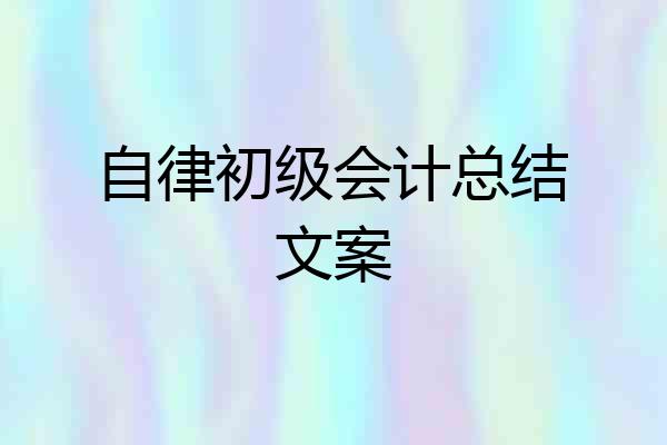 自律初级会计总结文案