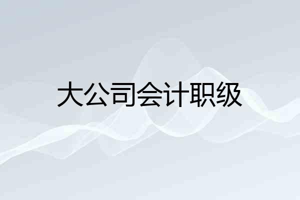 大公司会计职级