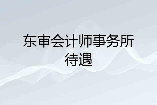 东审会计师事务所待遇
