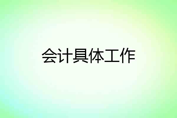 会计具体工作