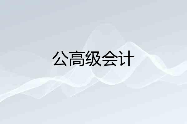 公高级会计