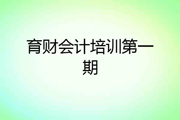 育财会计培训第一期
