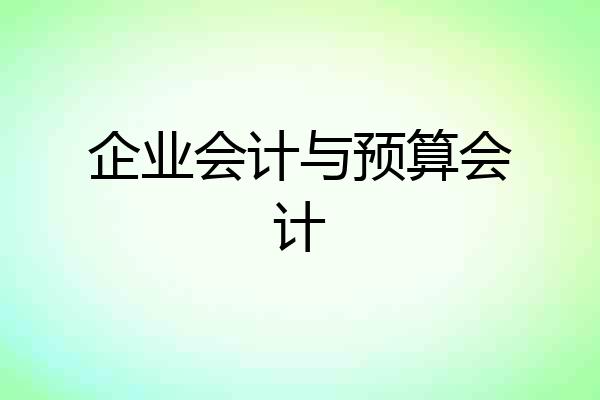 企业会计与预算会计