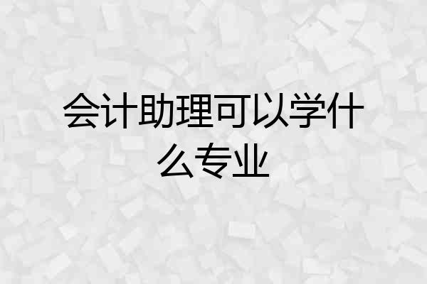 会计助理可以学什么专业