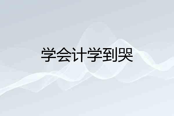 学会计学到哭
