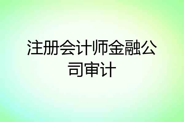 注册会计师金融公司审计