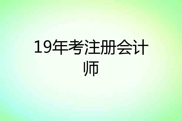 19年考注册会计师
