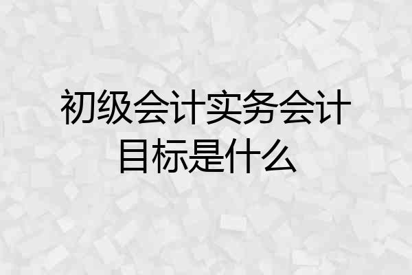 初级会计实务会计目标是什么