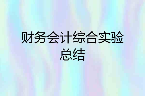 财务会计综合实验总结