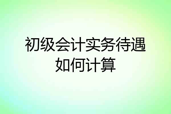 初级会计实务待遇如何计算