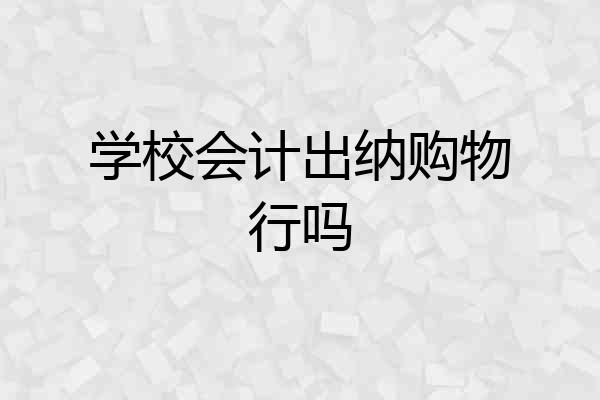 学校会计出纳购物行吗