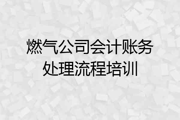 燃气公司会计账务处理流程培训