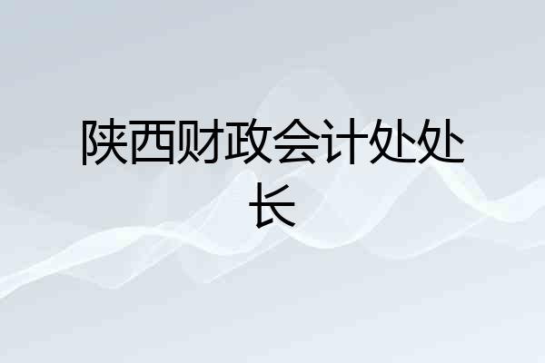 陕西财政会计处处长