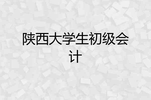 陕西大学生初级会计