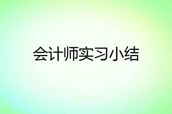 会计师实习小结