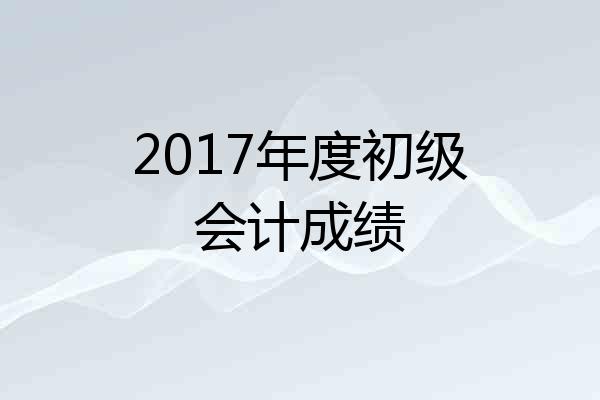 2017年度初级会计成绩