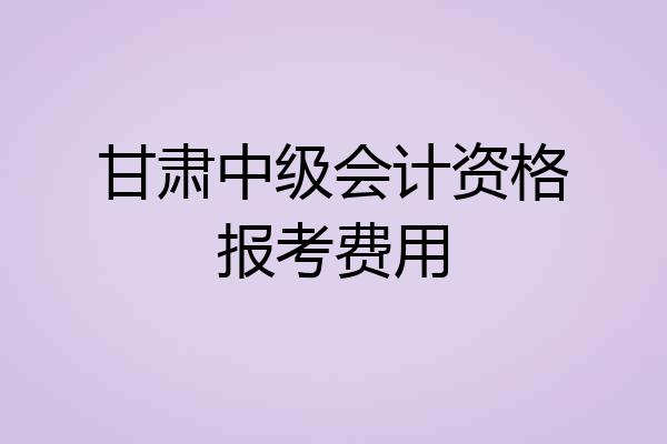 甘肃中级会计资格报考费用