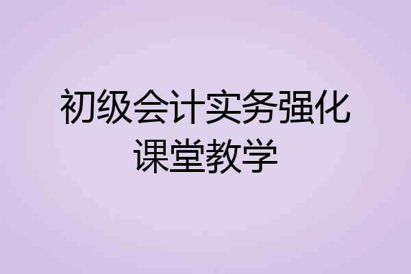 初级会计实务强化课堂教学
