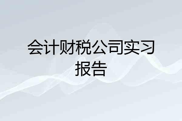 会计财税公司实习报告