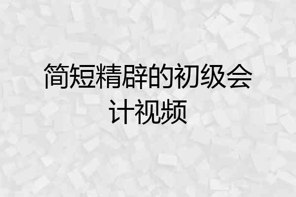 简短精辟的初级会计视频