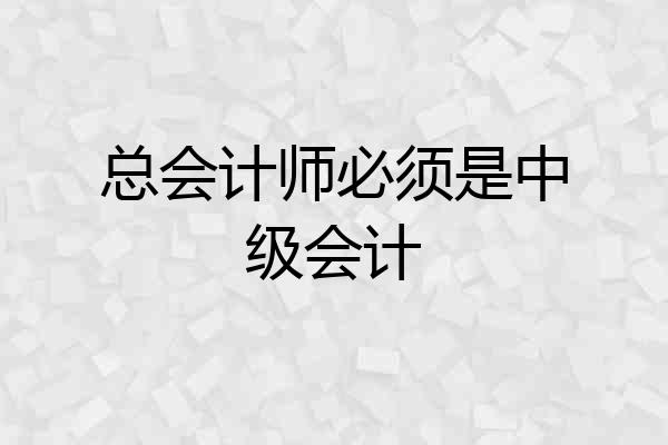 总会计师必须是中级会计