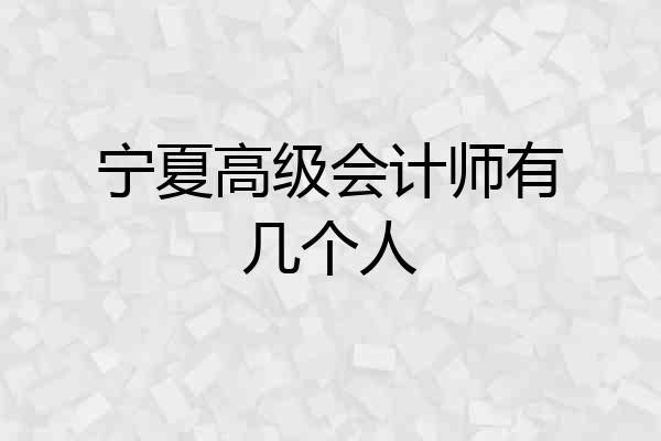 宁夏高级会计师有几个人