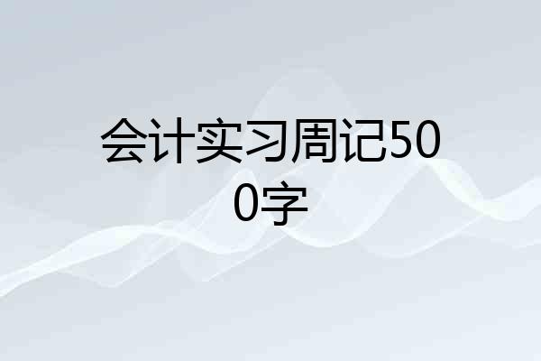 会计实习周记500字
