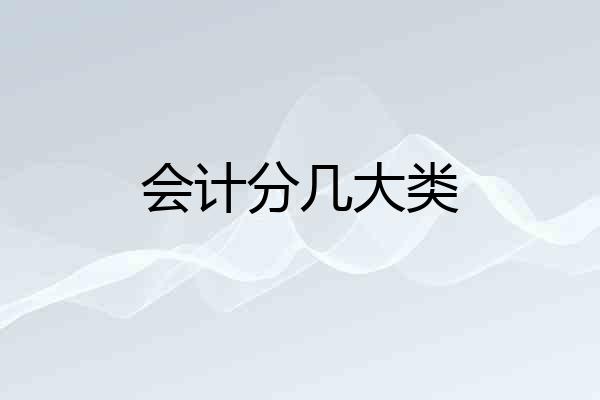 会计分几大类