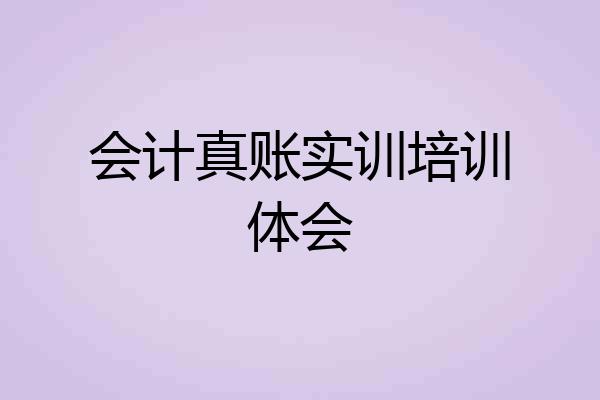 会计真账实训培训体会