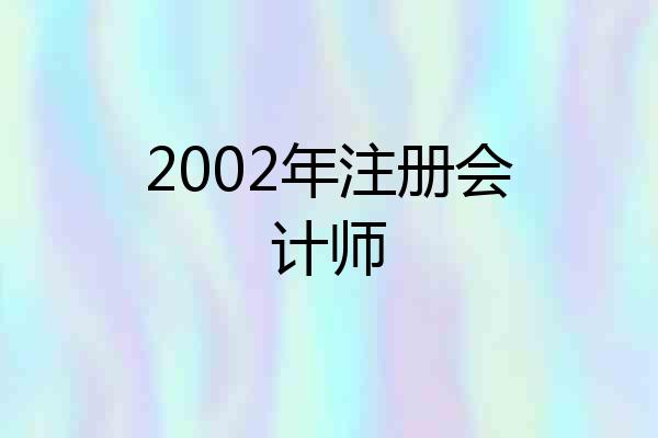 2002年注册会计师